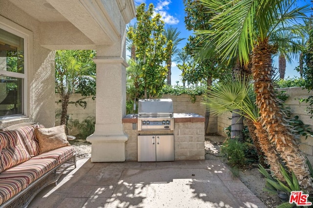 view of patio / terrace with area for grilling and exterior kitchen