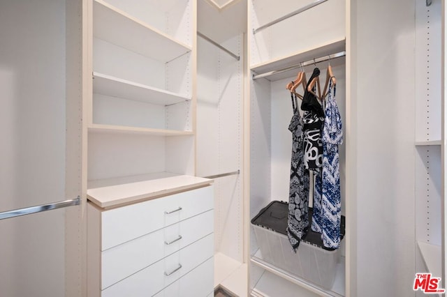 view of walk in closet