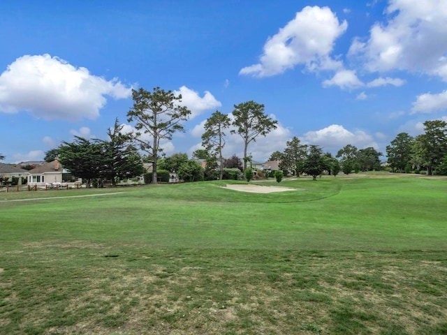 view of home's community with a yard