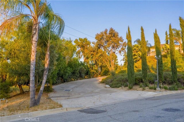 15475 Skyline Dr, Hacienda Heights, CA 91745 - photo 6