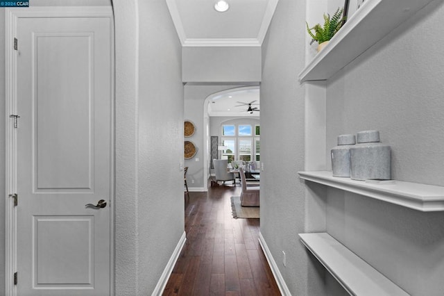 corridor with dark wood-type flooring and ornamental molding