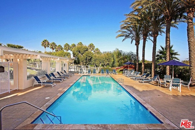 view of pool with a patio area