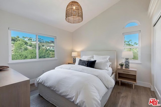 bedroom featuring dark hardwood / wood-style floors, multiple windows, and high vaulted ceiling