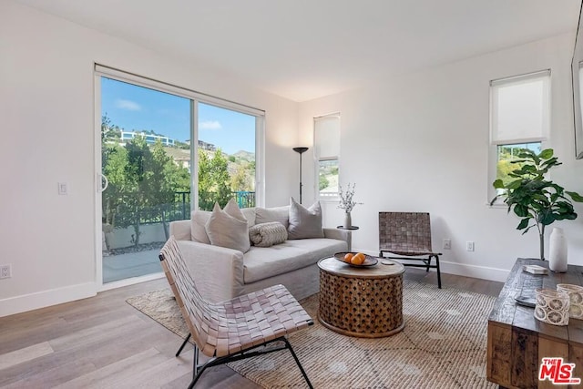 living room featuring light hardwood / wood-style floors