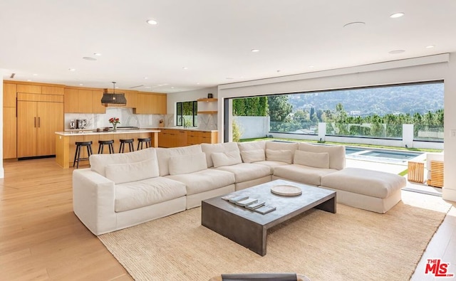 living room featuring light hardwood / wood-style floors, sink, and a mountain view