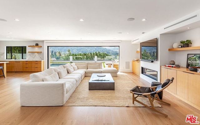 living room featuring light hardwood / wood-style flooring and sink