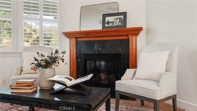 living area with wood-type flooring and a premium fireplace