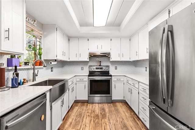 kitchen with a sink, appliances with stainless steel finishes, under cabinet range hood, a tray ceiling, and backsplash