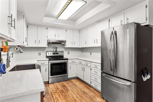 kitchen with light wood-type flooring, under cabinet range hood, a tray ceiling, stainless steel appliances, and a sink