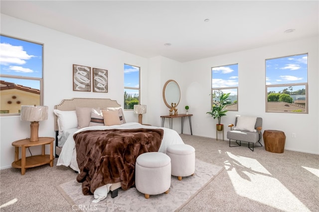 carpeted bedroom with multiple windows