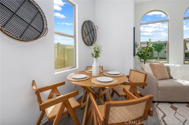 dining space with hardwood / wood-style flooring