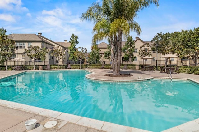 view of swimming pool