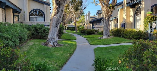 view of home's community with a lawn