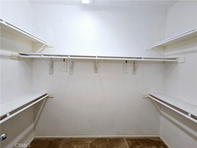 spacious closet featuring dark carpet