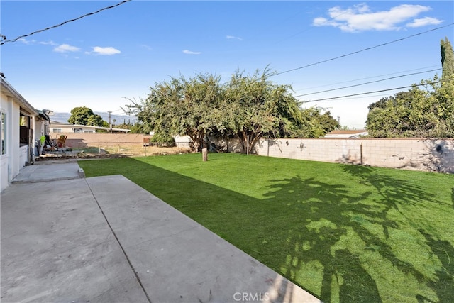 view of yard with a patio area