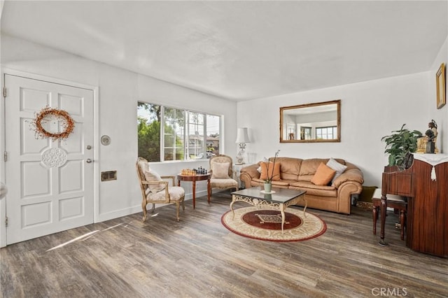 living room featuring dark wood-type flooring