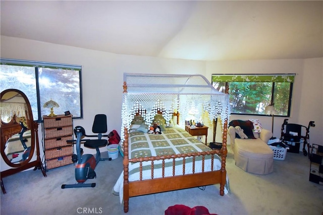 carpeted bedroom with vaulted ceiling