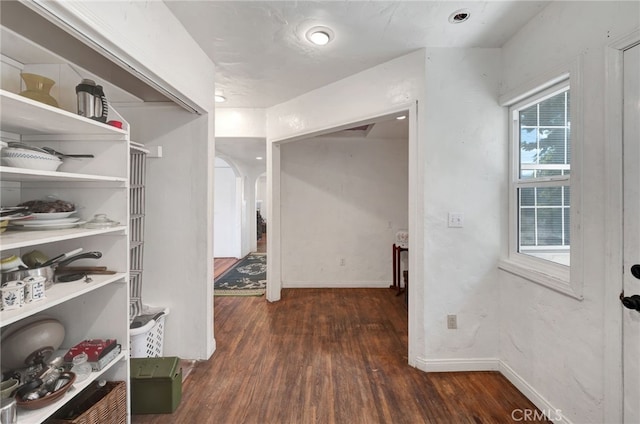 spacious closet featuring dark hardwood / wood-style flooring