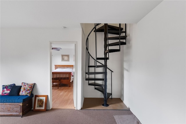 stairs featuring carpet