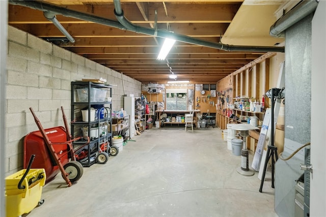 basement with a workshop area