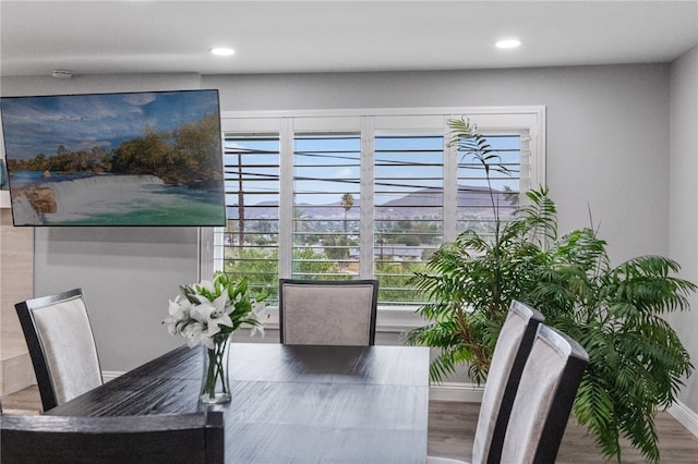 dining space featuring hardwood / wood-style flooring