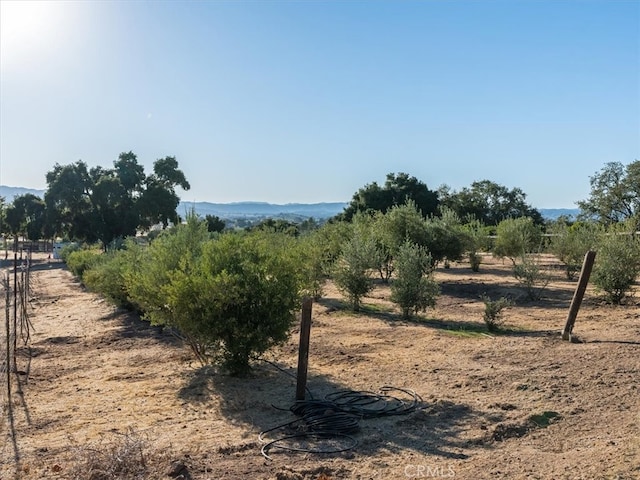 view of local wilderness with a rural view