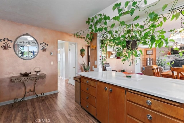 kitchen with dark hardwood / wood-style floors