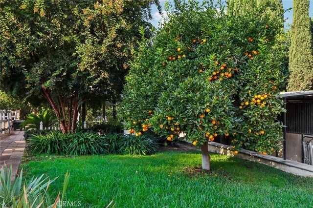 2611 Steeplechase Ln, Diamond Bar, CA 91765 - view of green lawn