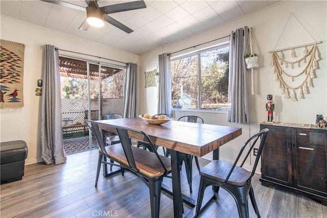 dining room with a wealth of natural light, wood finished floors, ceiling fan, and baseboards