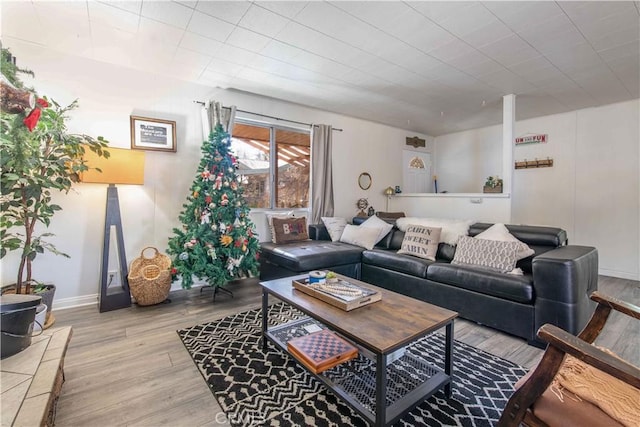 living area with wood finished floors