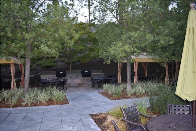 view of yard with a patio area and an outdoor kitchen