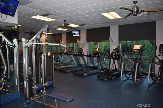 workout area featuring ceiling fan and a drop ceiling