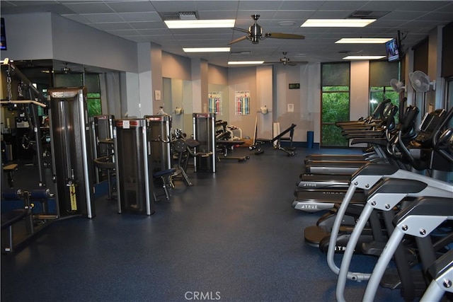 exercise room with a drop ceiling and ceiling fan