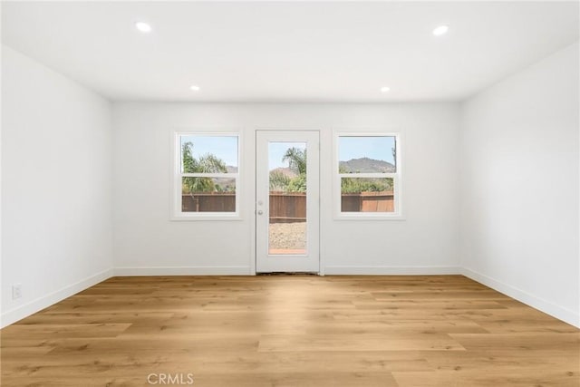 interior space featuring light hardwood / wood-style floors and a wealth of natural light