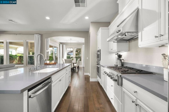 kitchen featuring a healthy amount of sunlight, stainless steel appliances, sink, and dark hardwood / wood-style floors