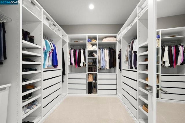 spacious closet with light carpet