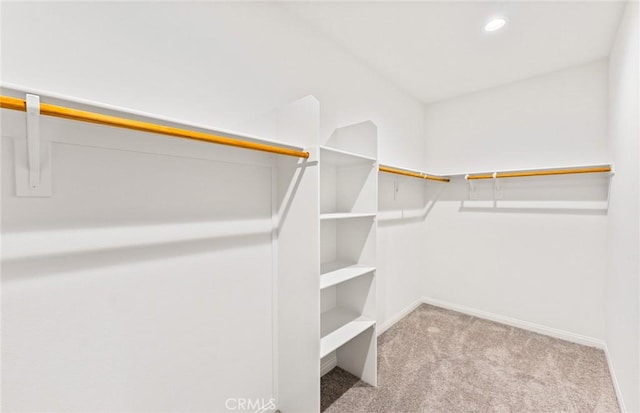 spacious closet with carpet floors