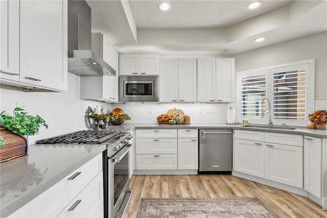 kitchen with white cabinetry, sink, wall chimney exhaust hood, stainless steel appliances, and a raised ceiling