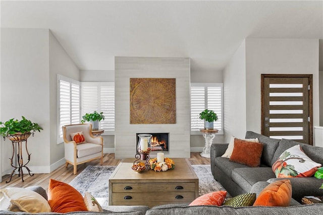 living room featuring a fireplace and light hardwood / wood-style flooring