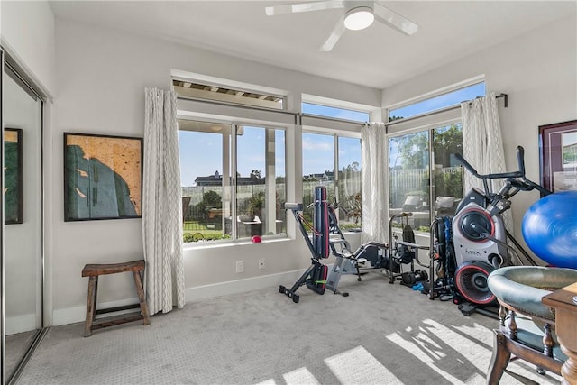 exercise room with ceiling fan and carpet floors