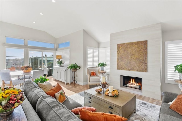 living room featuring a large fireplace, light hardwood / wood-style floors, vaulted ceiling, and a healthy amount of sunlight