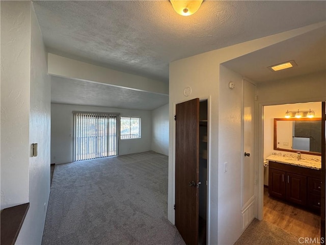 interior space with a sink, a textured ceiling, and light colored carpet