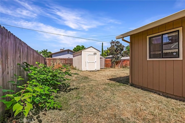 view of yard featuring a shed