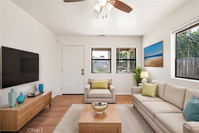 living room featuring a wealth of natural light and light wood-type flooring