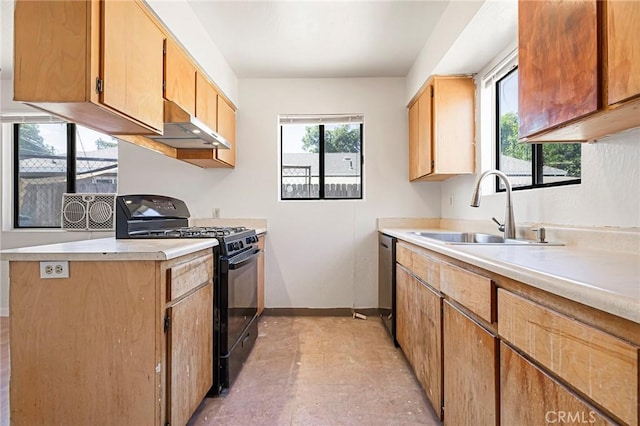 kitchen featuring stainless steel dishwasher, gas stove, and sink