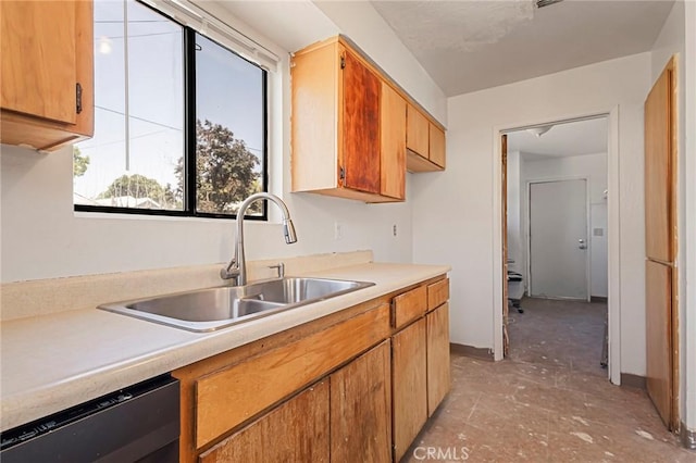 kitchen featuring dishwasher and sink