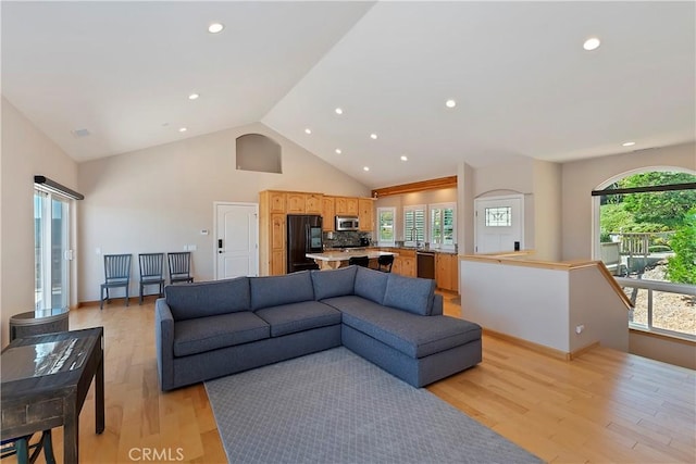 living room featuring sink, high vaulted ceiling, a healthy amount of sunlight, and light wood-type flooring