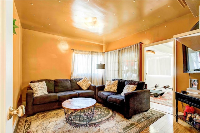 living room featuring hardwood / wood-style floors