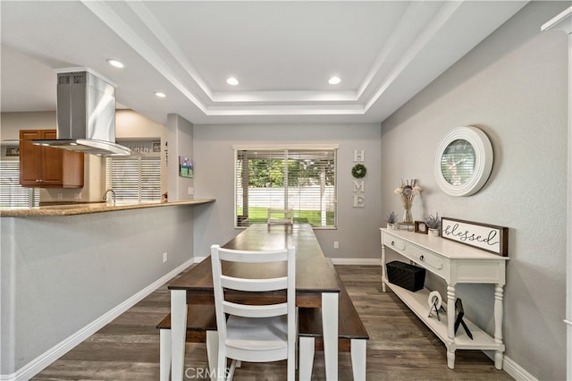 dining area featuring a raised ceiling and dark hardwood / wood-style flooring