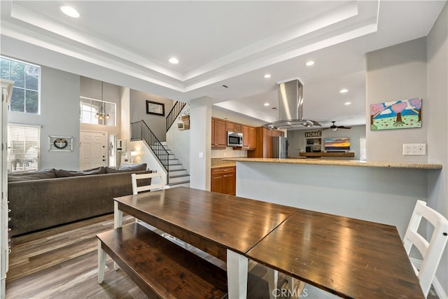 dining room featuring a tray ceiling and hardwood / wood-style flooring